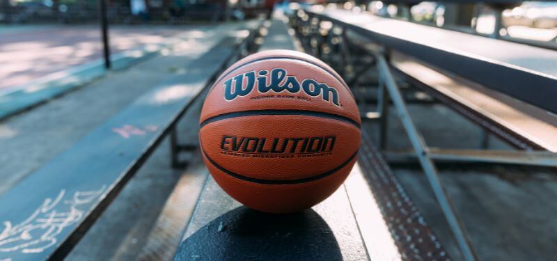 The Wilson Evolution Basketball